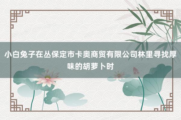 小白兔子在丛保定市卡奥商贸有限公司林里寻找厚味的胡萝卜时